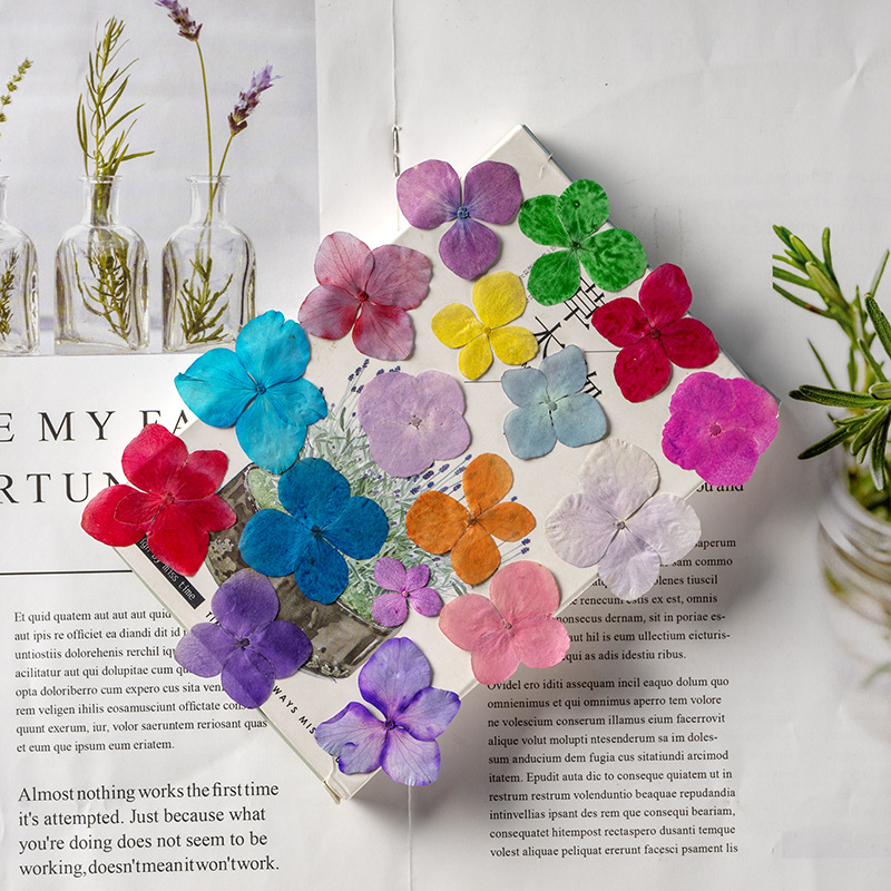 60 Stück Anna Hortensien Farba – Resin Art Bookmark Bewertung und Preis